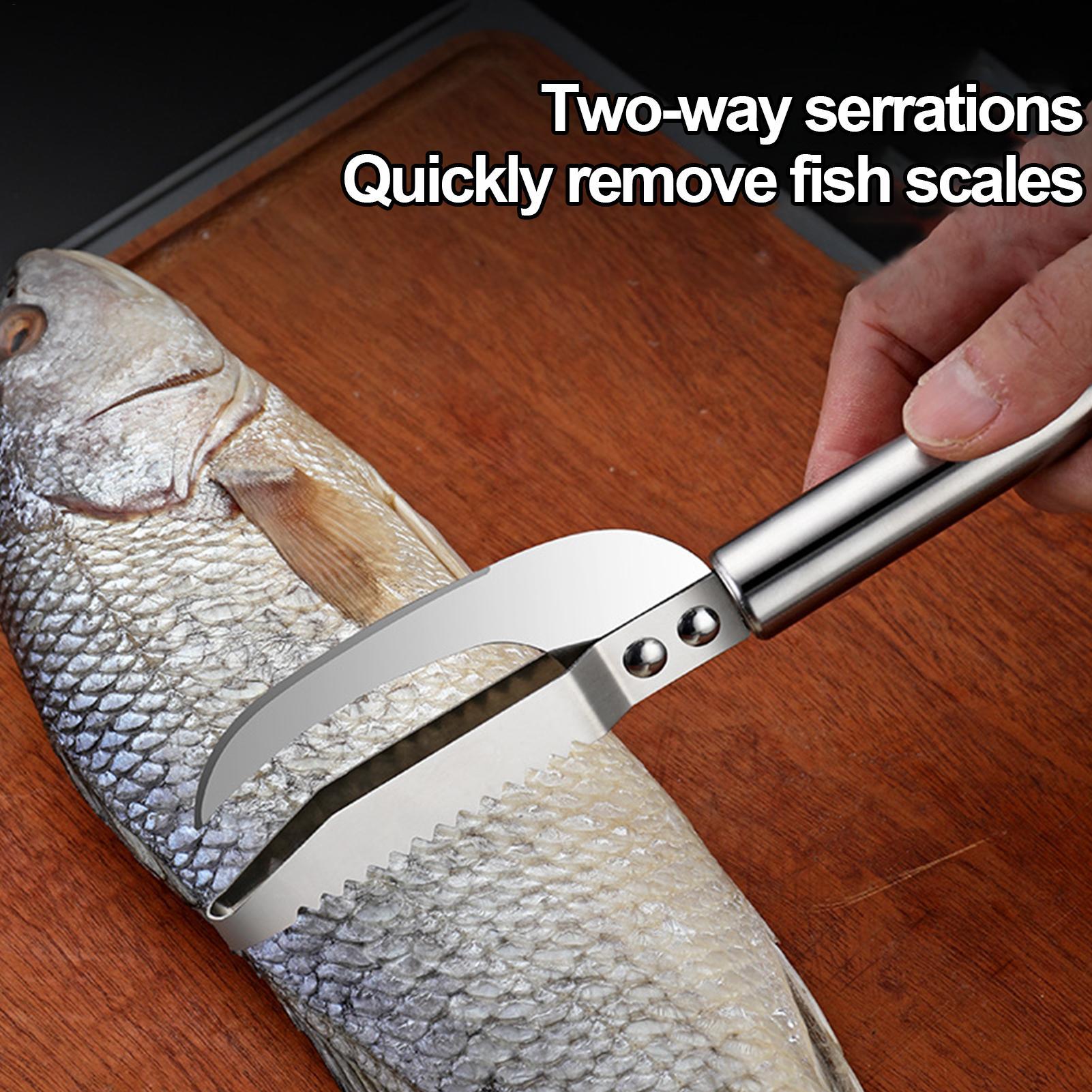 Vis-schubbenverwijderaar mes g - Kitchen Gadget Amazon recensie en prijs