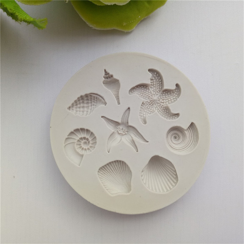 Nieuwe【Ocean Biological Conch  - Kitchen Gadgets New recensie en prijs