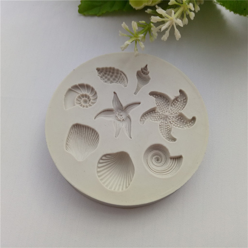Nieuwe【Ocean Biological Conch  - Kitchen Gadgets New recensie en prijs