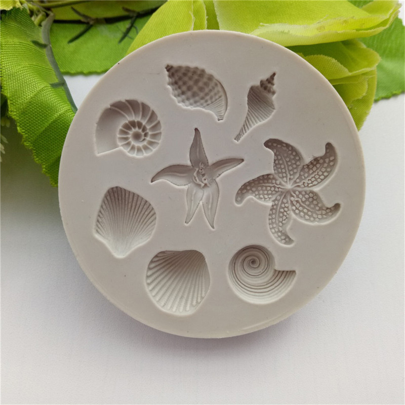 Nieuwe【Ocean Biological Conch  - Kitchen Gadgets New recensie en prijs