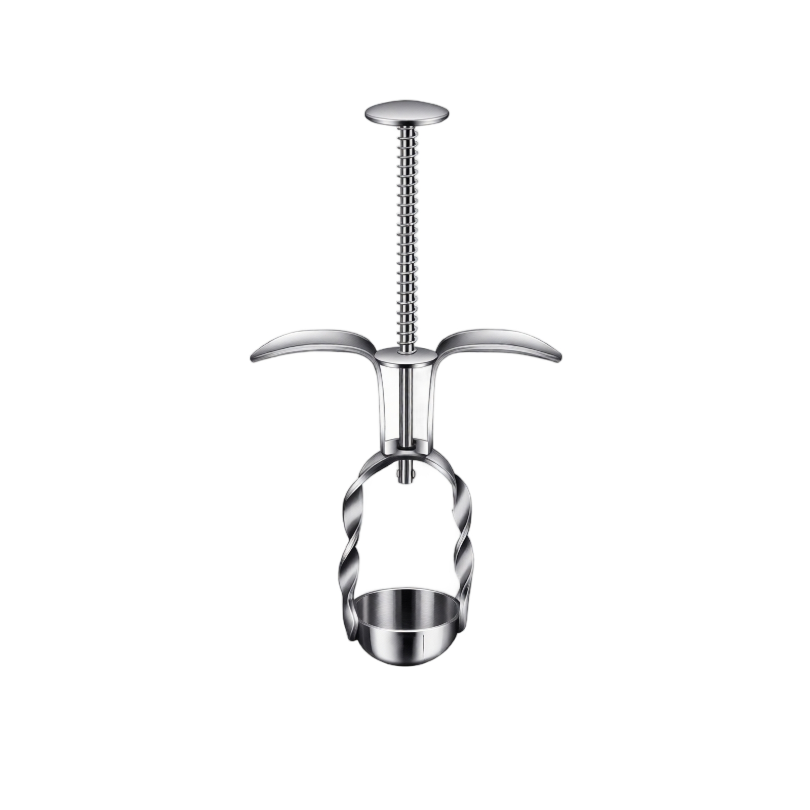 Roestvrijstalen rode dadelontp - Kitchen Gadgets Kitchen recensie en prijs