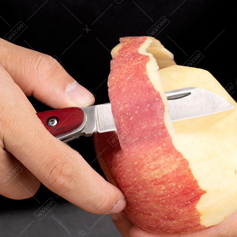 Roestvrijstalen zakmes Palissa - Kitchen Handy Gadgets recensie en prijs