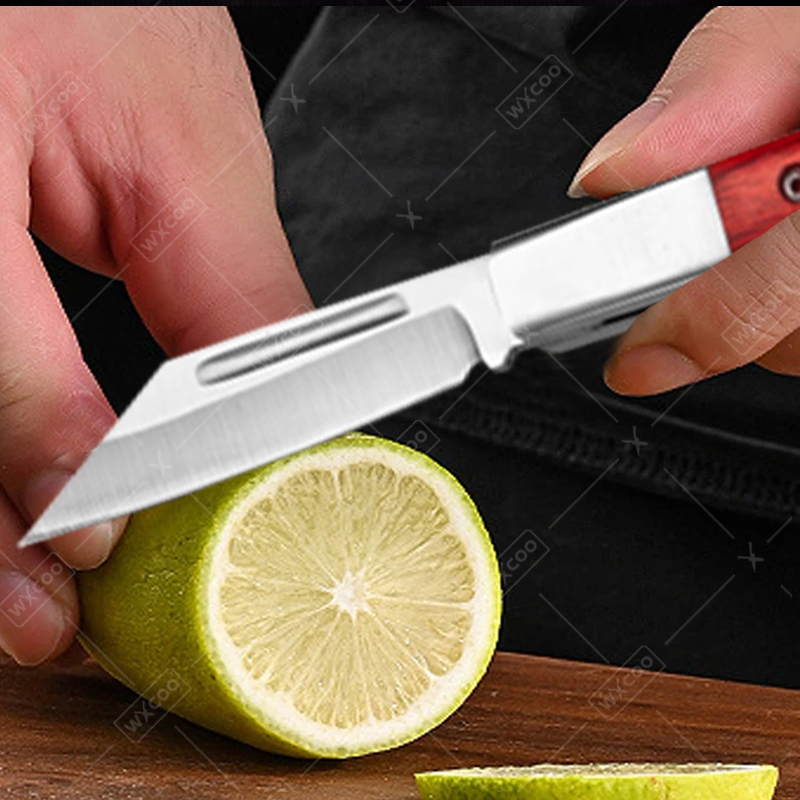Roestvrijstalen zakmes Palissa - Kitchen Handy Gadgets recensie en prijs