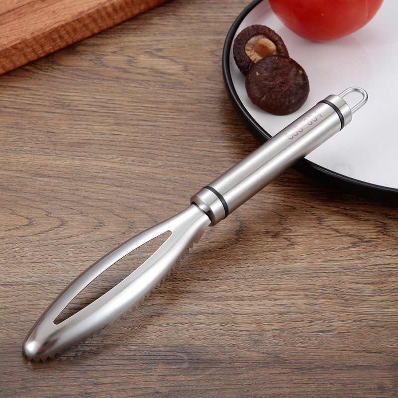 Roestvrij Schubben Schrapen Ra - Kitchen Gadget Amazon recensie en prijs